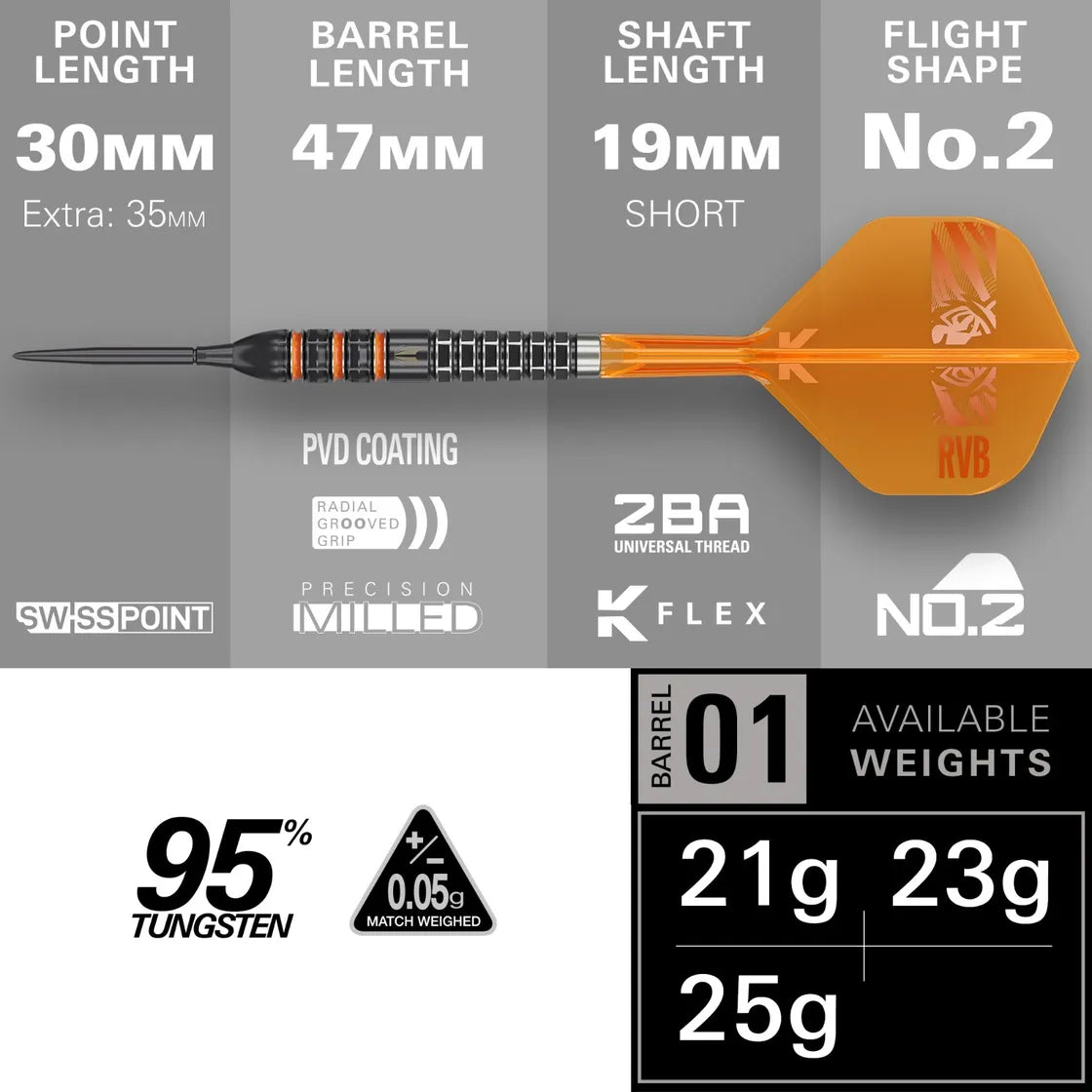 Raymond Van Barneveld 95k 23g Steel Tip Darts