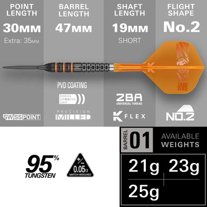 Raymond Van Barneveld 95k 25g Steel Tip Darts