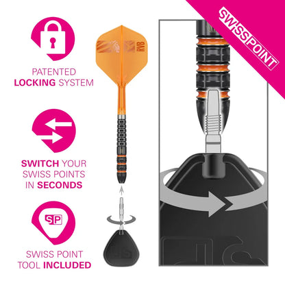 Raymond Van Barneveld 95k 23g Steel Tip Darts
